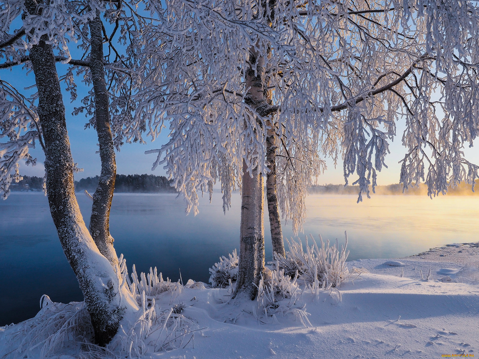 Картинки с красивой природой зима